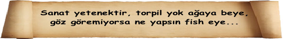 Sanat yetenektir, torpil yok ağaya beye, 
göz göremiyorsa ne yapsın fish eye...
