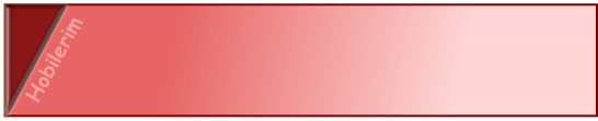 Hobilerim