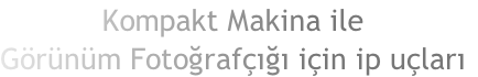 Kompakt Makina ile
Görünüm Fotoğrafçığı için ip uçları