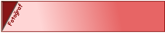 Fotoğraf